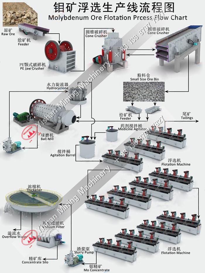 钼矿选矿流程